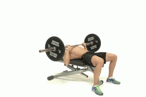 Barbell Bench Press - Push Workout