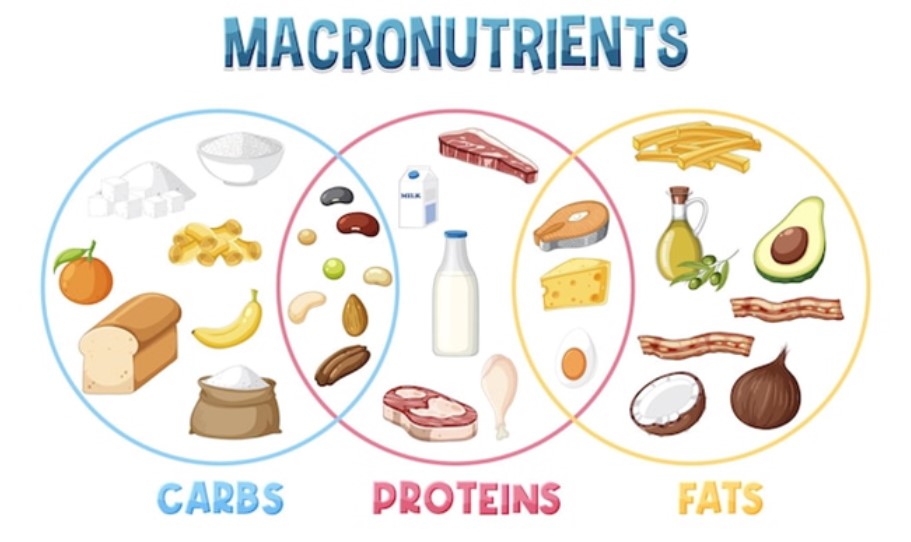 Macro-Nutrient