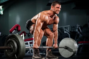 Fitness & Training 