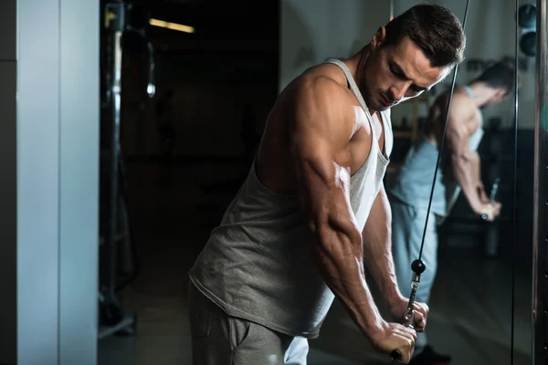 The Ultimate Guide to Lateral Head Tricep Exercises for Tricep Gains