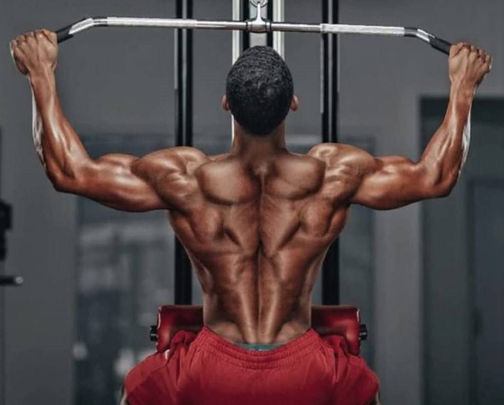 Chest Back Split: Optimize Your Workout Routine - Sheru Classic world