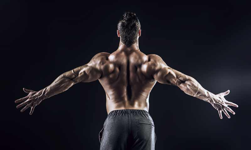 muscle bodybuilder back pose 21113470 Vector Art at Vecteezy