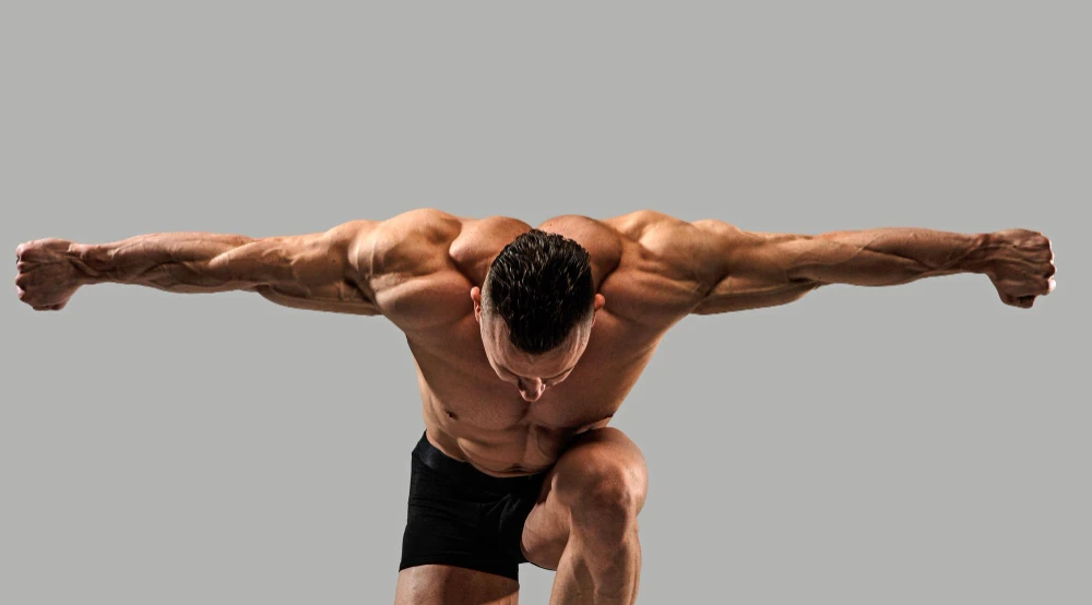 Biceps Vs Triceps : Critical Differences You Need To Know